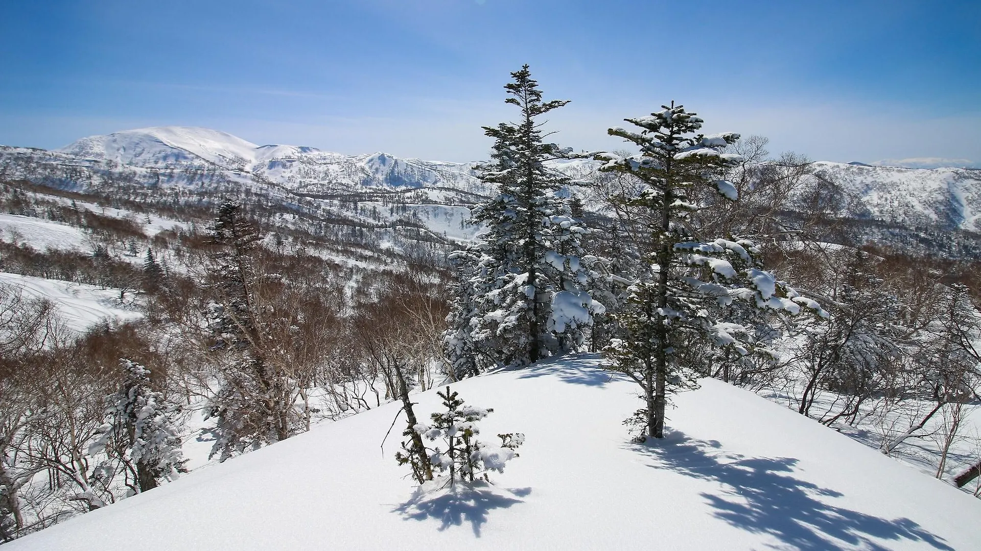 Sheraton Hokkaido Kiroro Resort Akaigawa