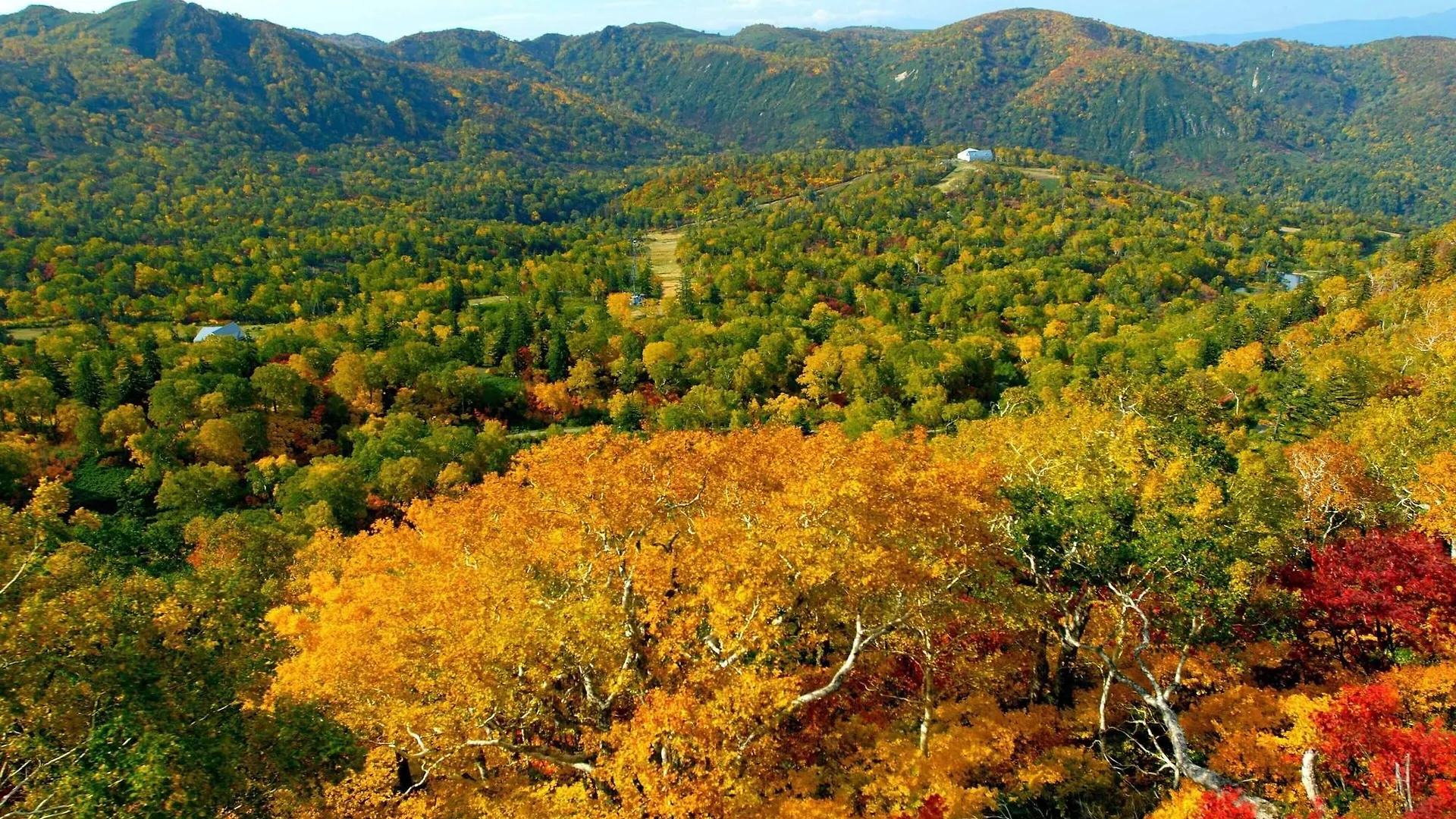 ****  Sheraton Hokkaido Kiroro Resort Akaigawa Japonya